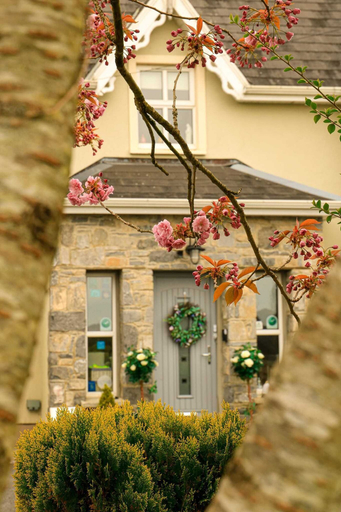 Exterior & Views 2, Parkhouse Bed and Breakfast