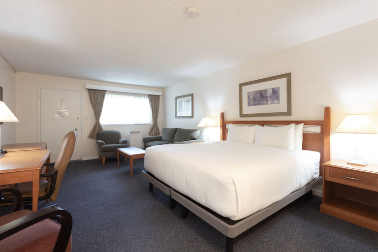Bedroom 3, Robin Hood Inn & Suites, Capital