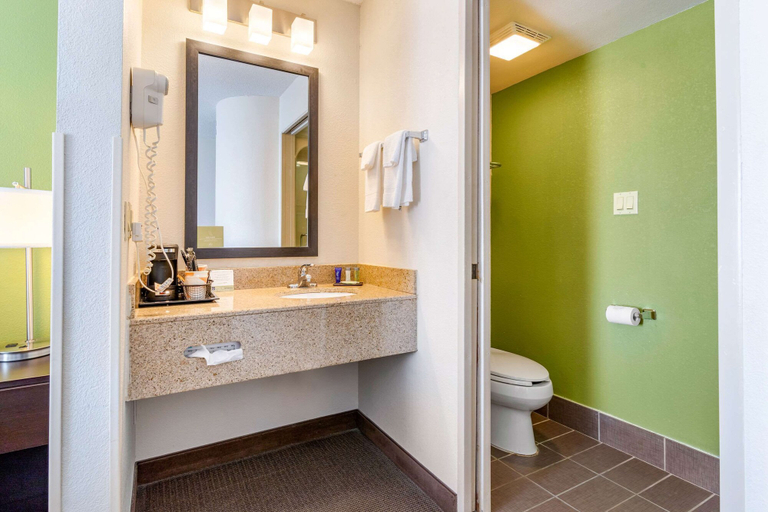 Bathroom 4, Sleep Inn I-95 North Savannah, Chatham