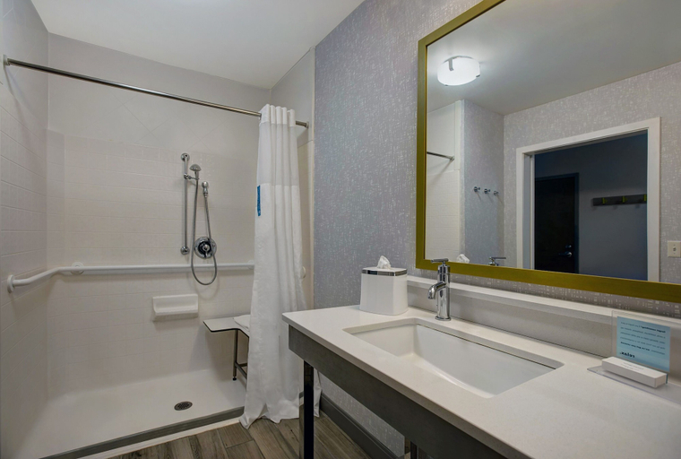 Bathroom 4, Hampton Inn Westfield, Hampden