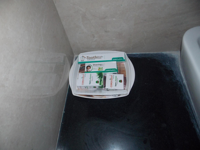 Bathroom 2, Hotel Royal Palace, Sagar