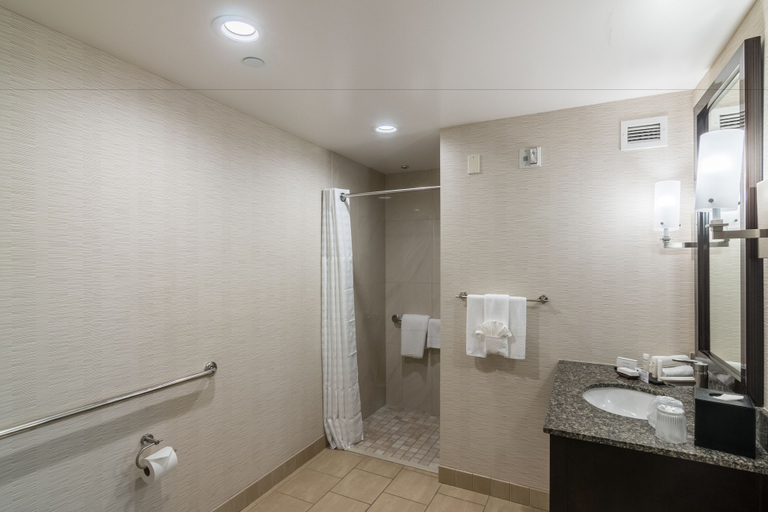 Bathroom 5, Embassy Suites Palmdale, Los Angeles