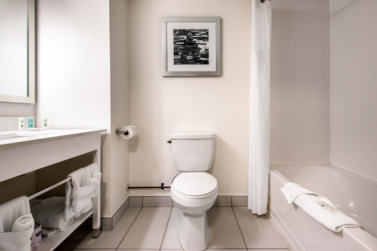 Bathroom 4, Quality Inn & Conference Centre Orillia, Simcoe
