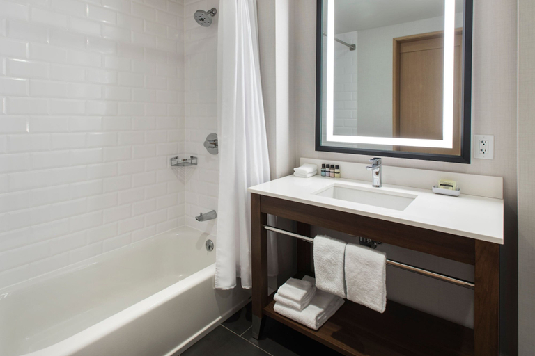 Bathroom 3, Four Points by Sheraton Albany, Albany