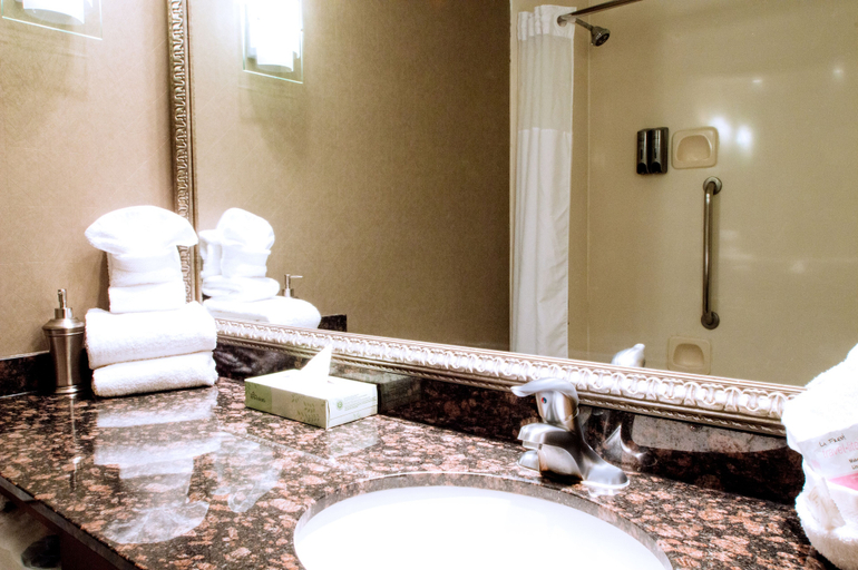 Bathroom 4, Greenstay Hotel & Suites, Greene