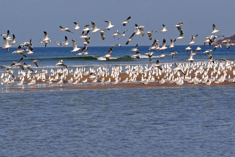Others 4, Vedaa Holidays Resort, Sindhudurg