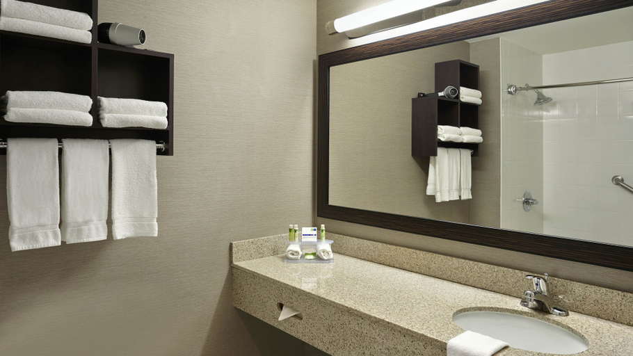 Bathroom, Holiday Inn Express Hotel Naples Downtown - 5th Avenue, Collier