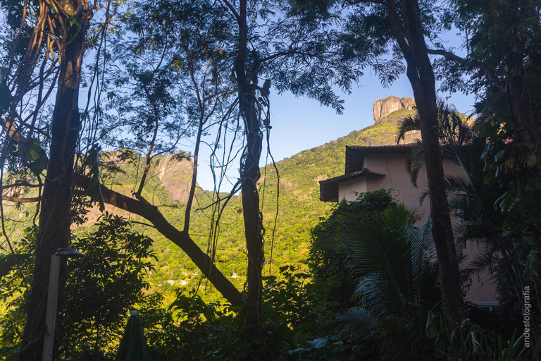 Others 4, Barra da Tijuca Guest Houses, Rio de Janeiro