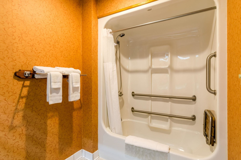 Bathroom 4, Quality Inn Eureka Springs South, Carroll