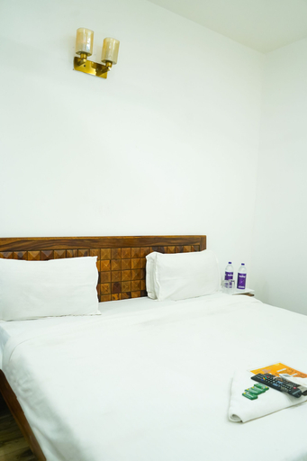Bedroom 3, Roomshala 028 Blu Lagoon, Delhi