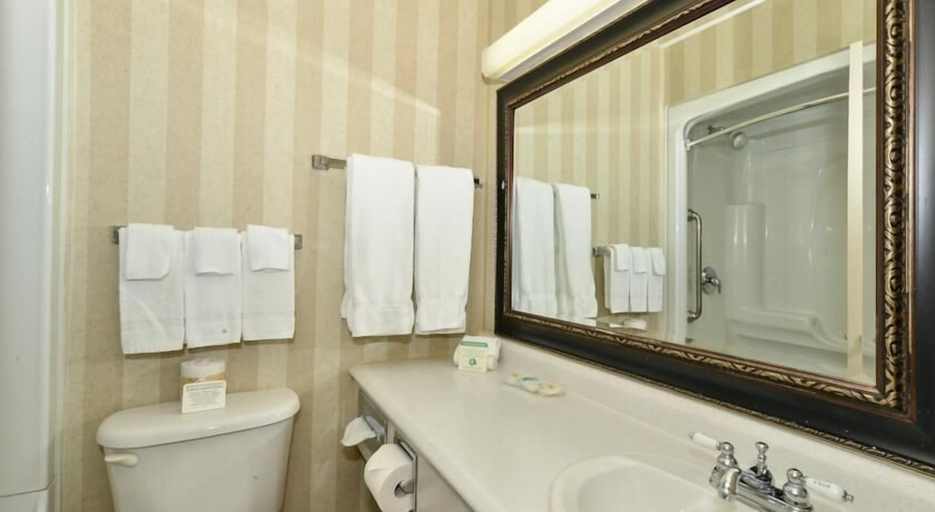 Bathroom 4, Comfort Inn, Halifax