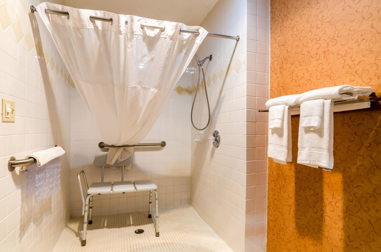 Bathroom 4, Quality Inn Eureka Springs South, Carroll