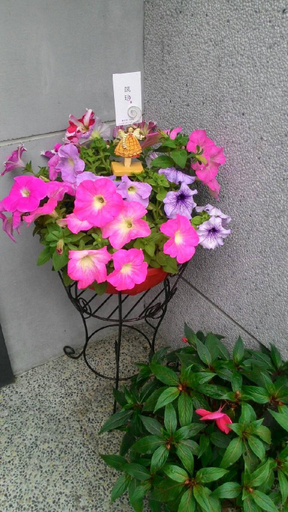 Others 4, Juyue, Yilan