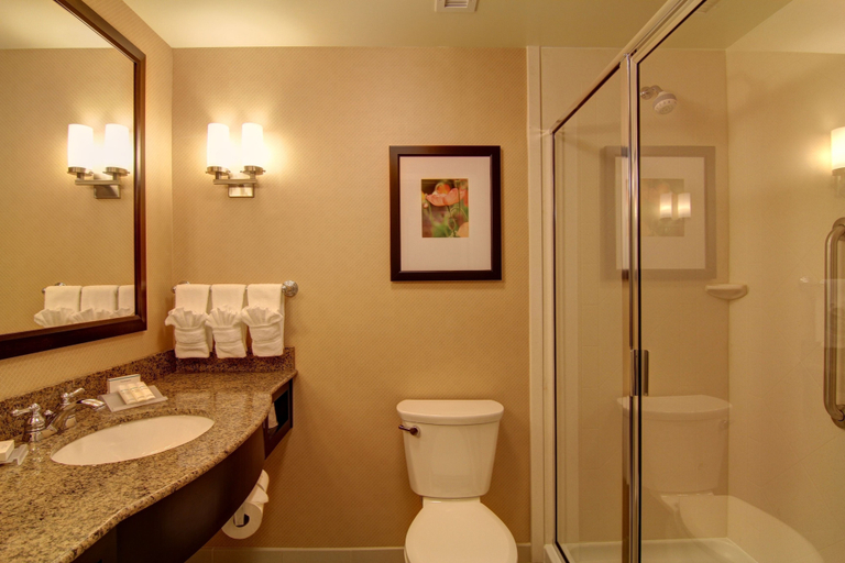 Bathroom 4, Hilton Garden Inn Woodbridge, Prince William
