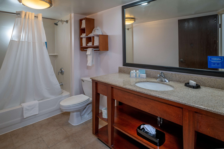 Bathroom 4, Hampton Inn Charleston-Downtown, Kanawha