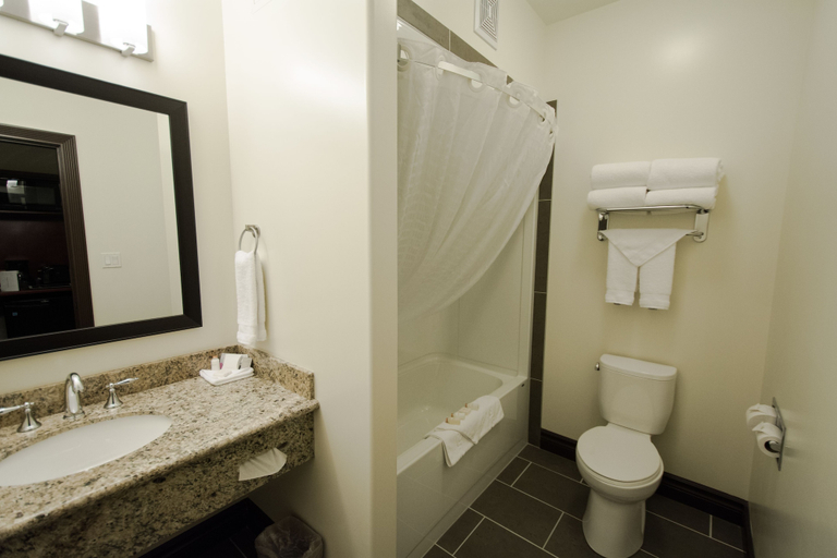 Bathroom 5, Chateau Nova Peace River, Division No. 19