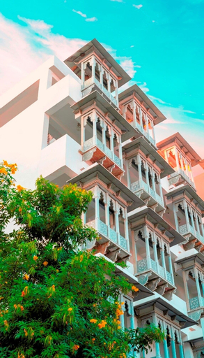 Hibiscus, Udaipur