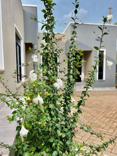 Exterior & Views, MUNDELI HOMES LTD, Busiiro