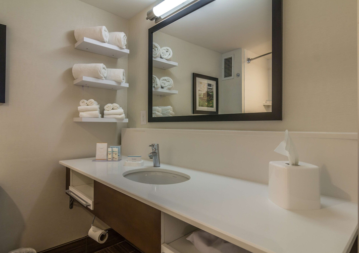 Bathroom 4, Hampton Inn Winchester-University/Mall Area, Winchester