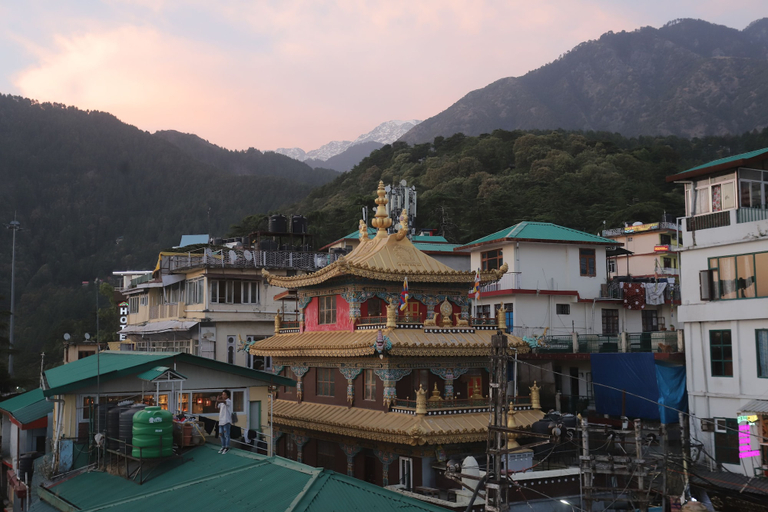 Exterior & Views 2, Hotel Buddha's Abode- Best Hotel in McleodGanj Main Market, Kangra