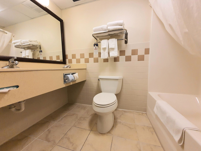 Bathroom 5, AmeriVu Inn & Suites - Waconia, Carver