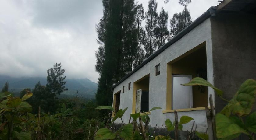 Harumi Dieng, Wonosobo
