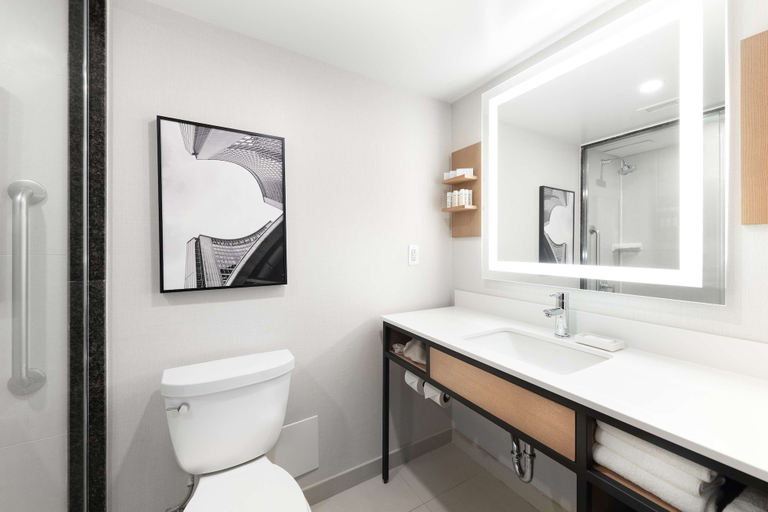 Bathroom 5, Hilton Garden Inn Toronto Airport, Peel