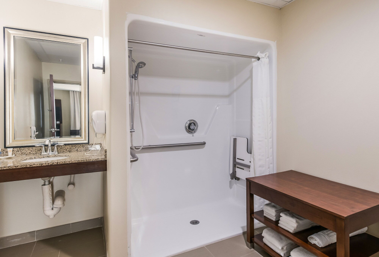 Bathroom 4, Comfort Suites Fort Stockton, Pecos