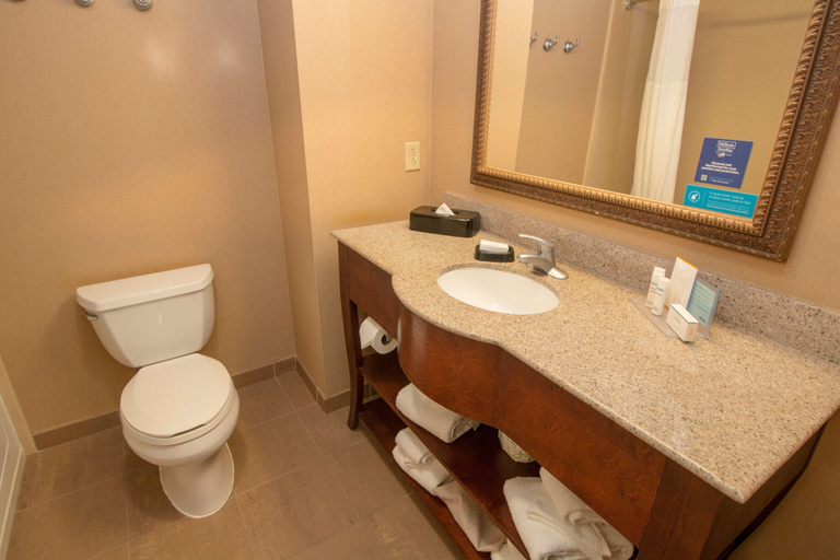 Bathroom 3, Hampton Inn & Suites Chesapeake-Battlefield Blvd., Chesapeake