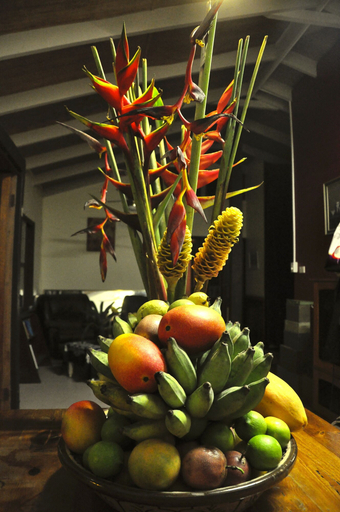 Food & Drinks 4, Tropical Bliss BNB, Johnstone