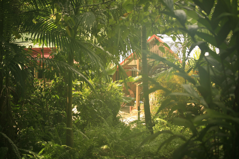 Tropical Bliss BNB, Johnstone