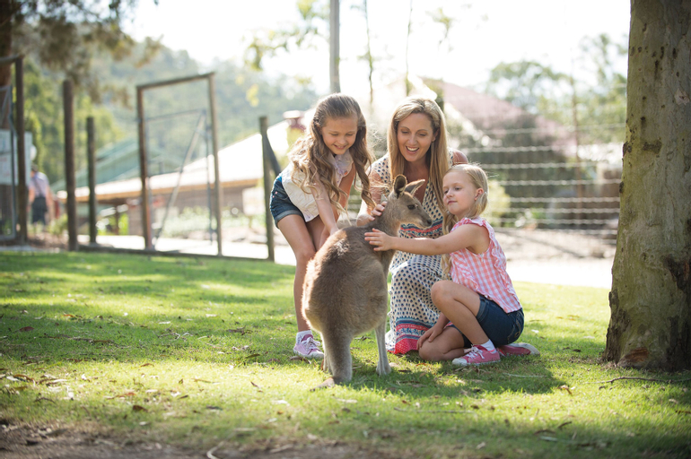Family & Kids 21