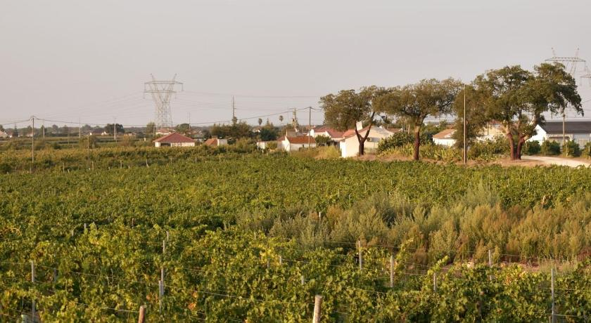 Exterior & Views 4, Quinta da Vinha, Palmela