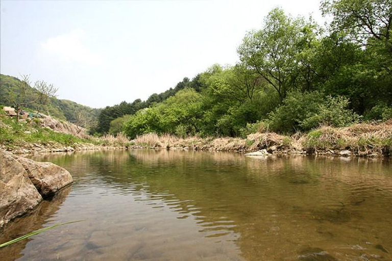 Others 4, Pocheon Neulpureun Pension, Yeoncheon