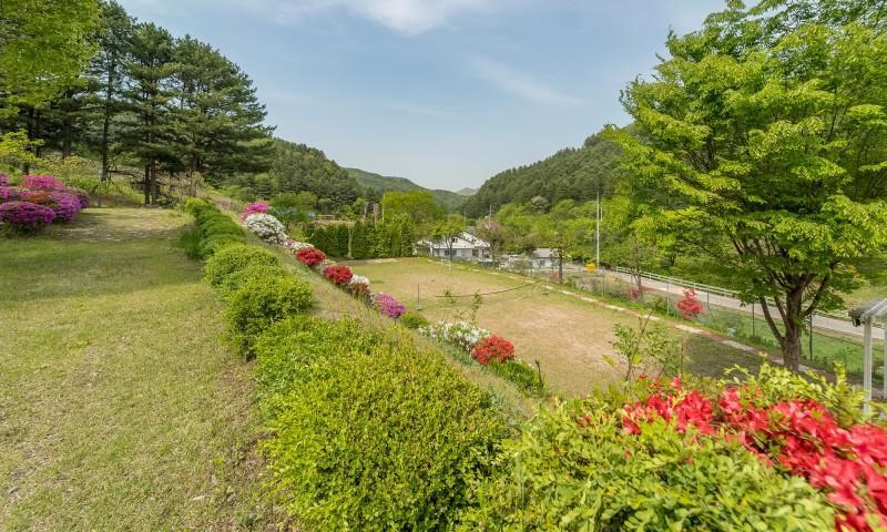 Others 5, Yangpyeong Lemongrass Pension, Hongcheon