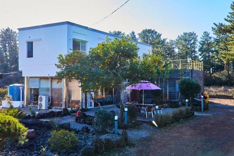 4, Jeju Nonoleta Pension, Jeju
