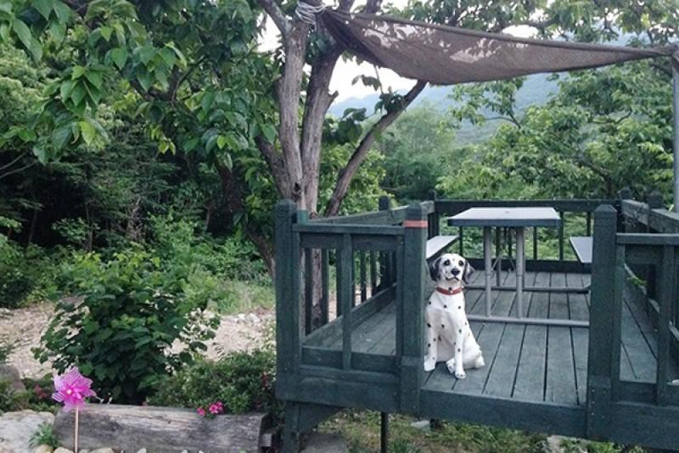 Others 3, Yangsan (Baenaegol) Cozy Pension, Miryang