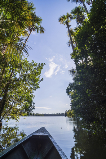 Others 4, Cuyabeno Lodge, Putumayo