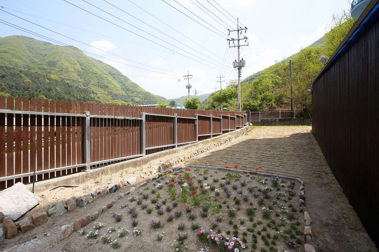 Others 5, Gapyeong Sun Pine, Gapyeong