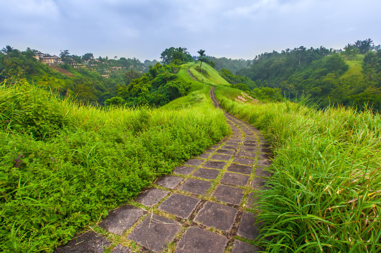 Nearby Landmark 5, Aix Cottage Ubud, Gianyar