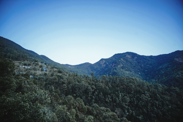 Others 5, Minikins - Resorts & Restaurant, Nainital