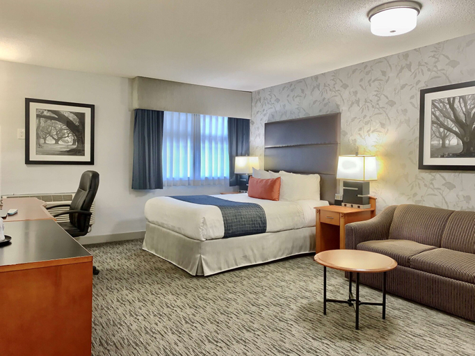 Bedroom 4, Best Western Plus Regency Inn & Conference Centre, Fraser Valley