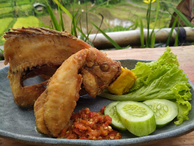 Food & Drinks, VILLA RANCA CIATER GARDEN VIEW , Subang