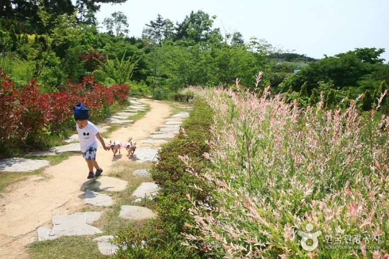 Others 1, Taean (Anmyeondo) Badaui Achim Pension, Taean