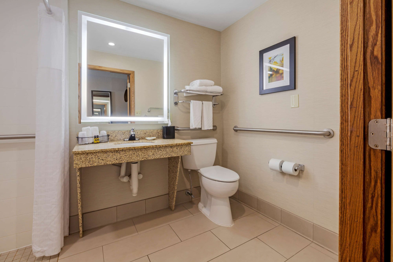 Bathroom 3, Best Western Plus Dubuque Hotel & Conference Center, Dubuque