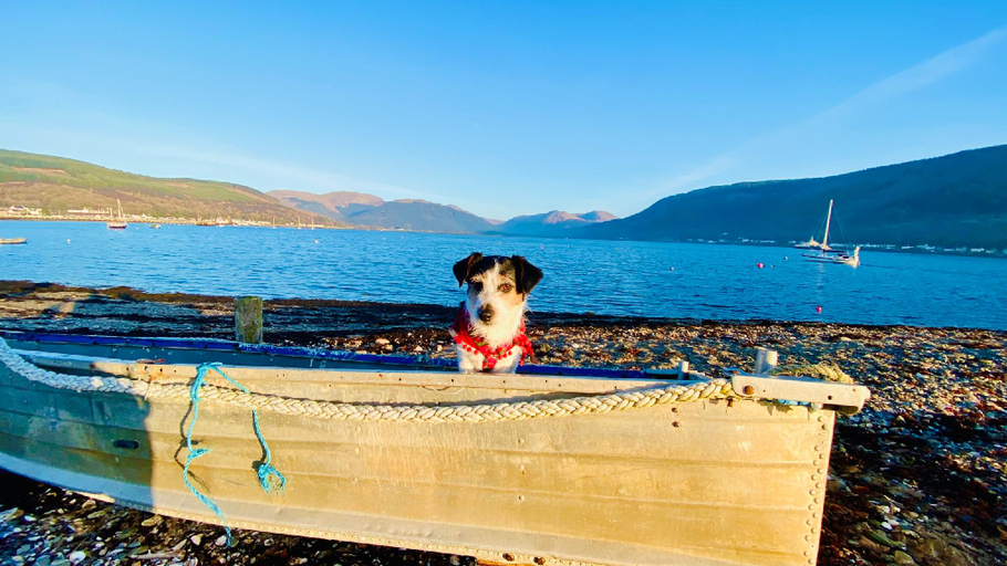 Others 4, Luxurious mountain retreat lodge Hunters Quay, Argyll and Bute