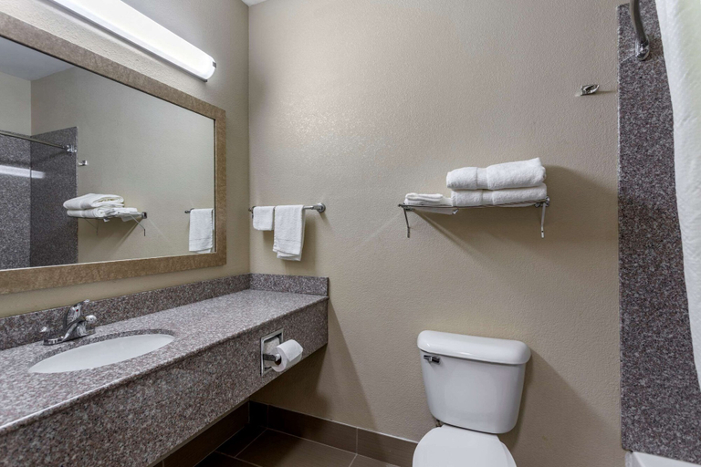 Bathroom 5, Comfort Inn & Suites Carbondale University Area, Jackson