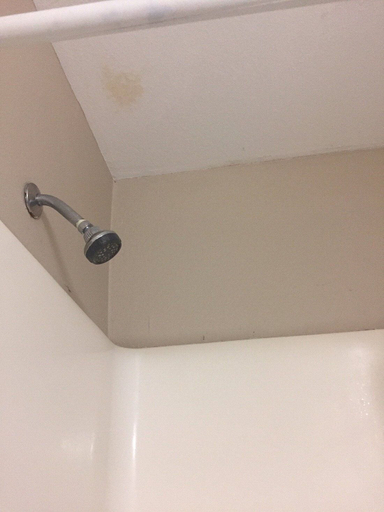 Bathroom 3, Sea Oats Motel, Okaloosa