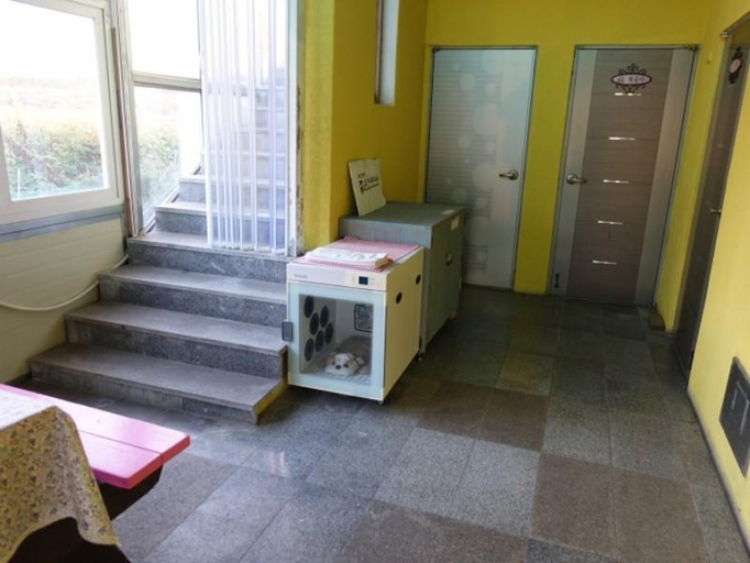 Others 1, Gyeongju Good Relation Pension, Gyeongju