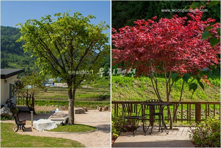 Others 5, Yangpyeong Near Creek Pension, Yangpyeong